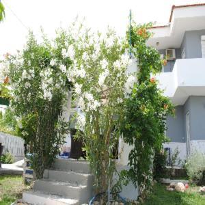 Karmik Concept Apartments Afantou Exterior foto
